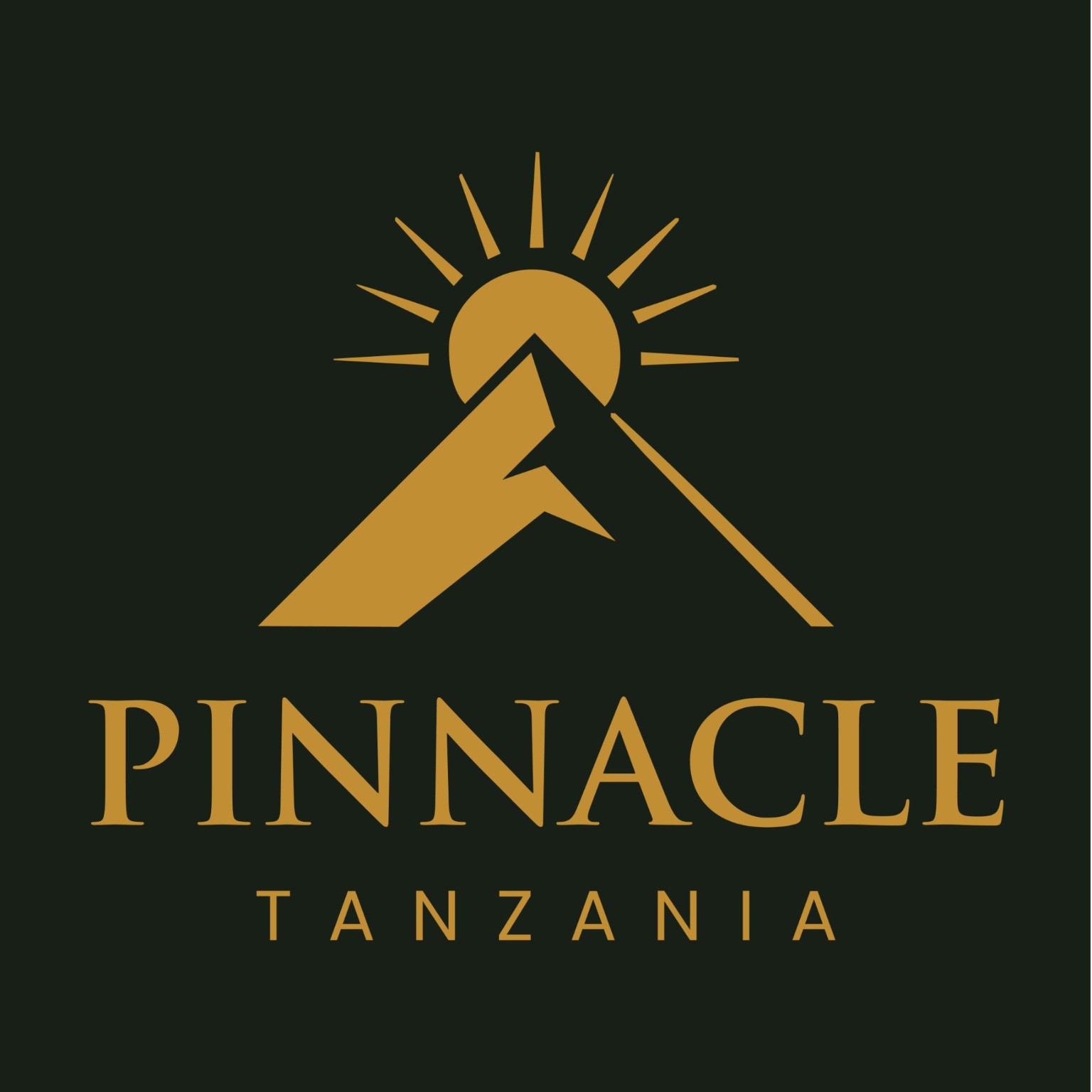 Pinnacle Tanzania